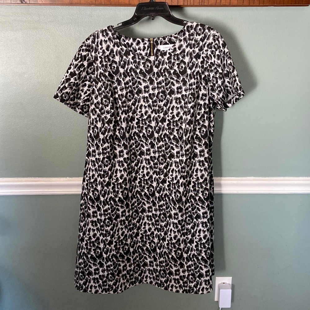 Calvin Klein Shift Dress